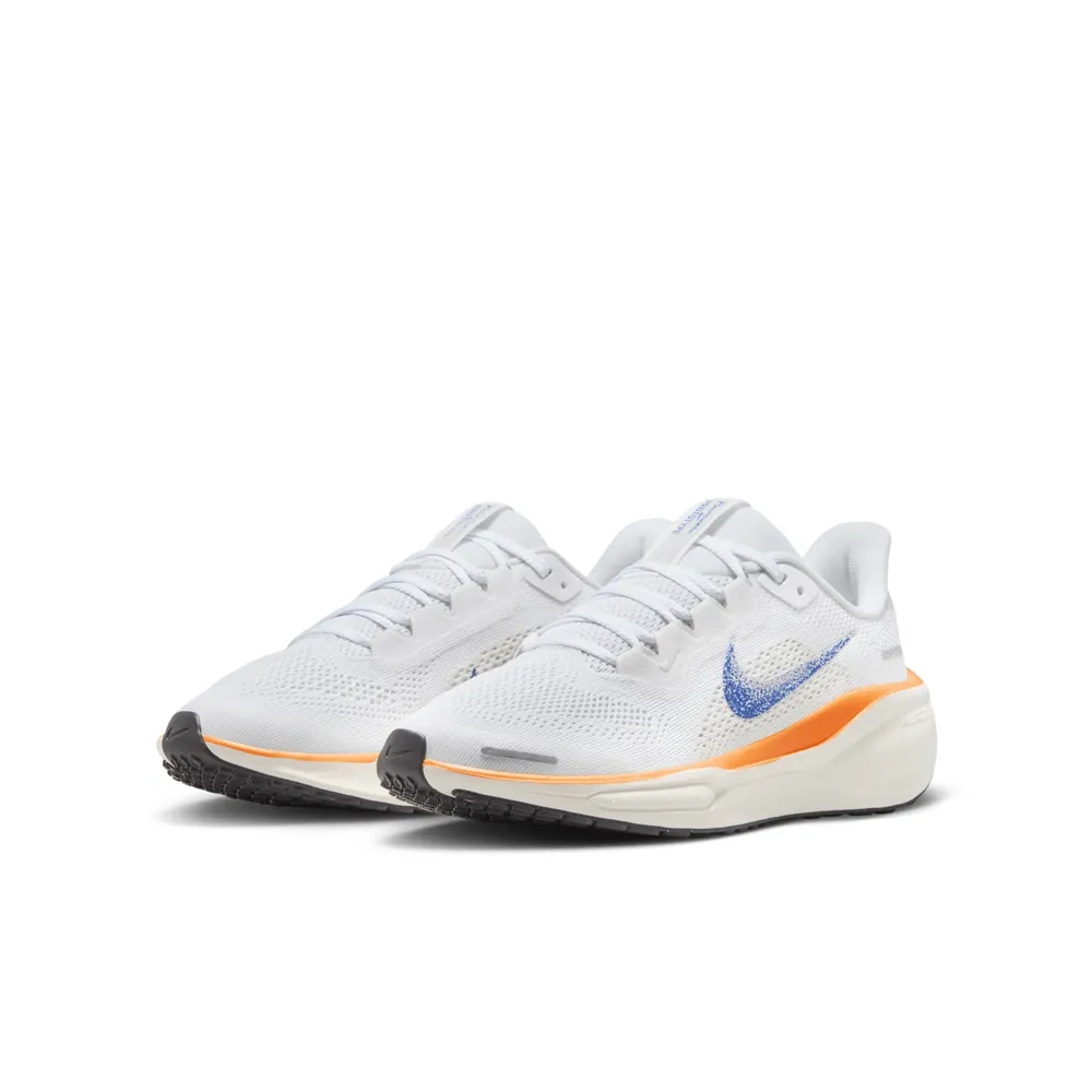 Nike Pegasus 41 Blueprint 男潮鞋 奧運 慢跑潮鞋 HF0013-900 歷史價格詳細信息
