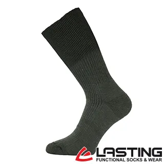 【LASTING 捷克】羊毛中筒薄運動襪(LT-TNW 桃紅/透氣/舒適/保暖/雙溫感/美麗諾) 歷史價格詳細信息