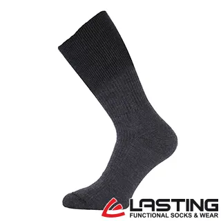 【LASTING 捷克】羊毛中筒健行襪(LT-WRM 黑/透氣/舒適/保暖/雙溫感/美麗諾) 歷史價格詳細信息