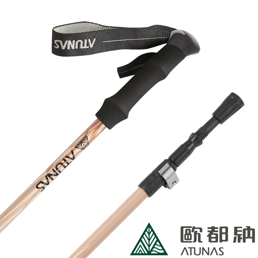 ATUNAS直把鋁合金三節快調避震登山杖135/62cm(直柄/快扣/手杖/徒步/爬山/雪地泥地) 歷史價格詳細信息