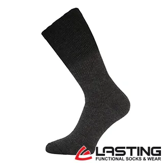 【LASTING 捷克】羊毛中筒健行襪(LT-WRM 黑/透氣/舒適/保暖/雙溫感/美麗諾) 歷史價格詳細信息