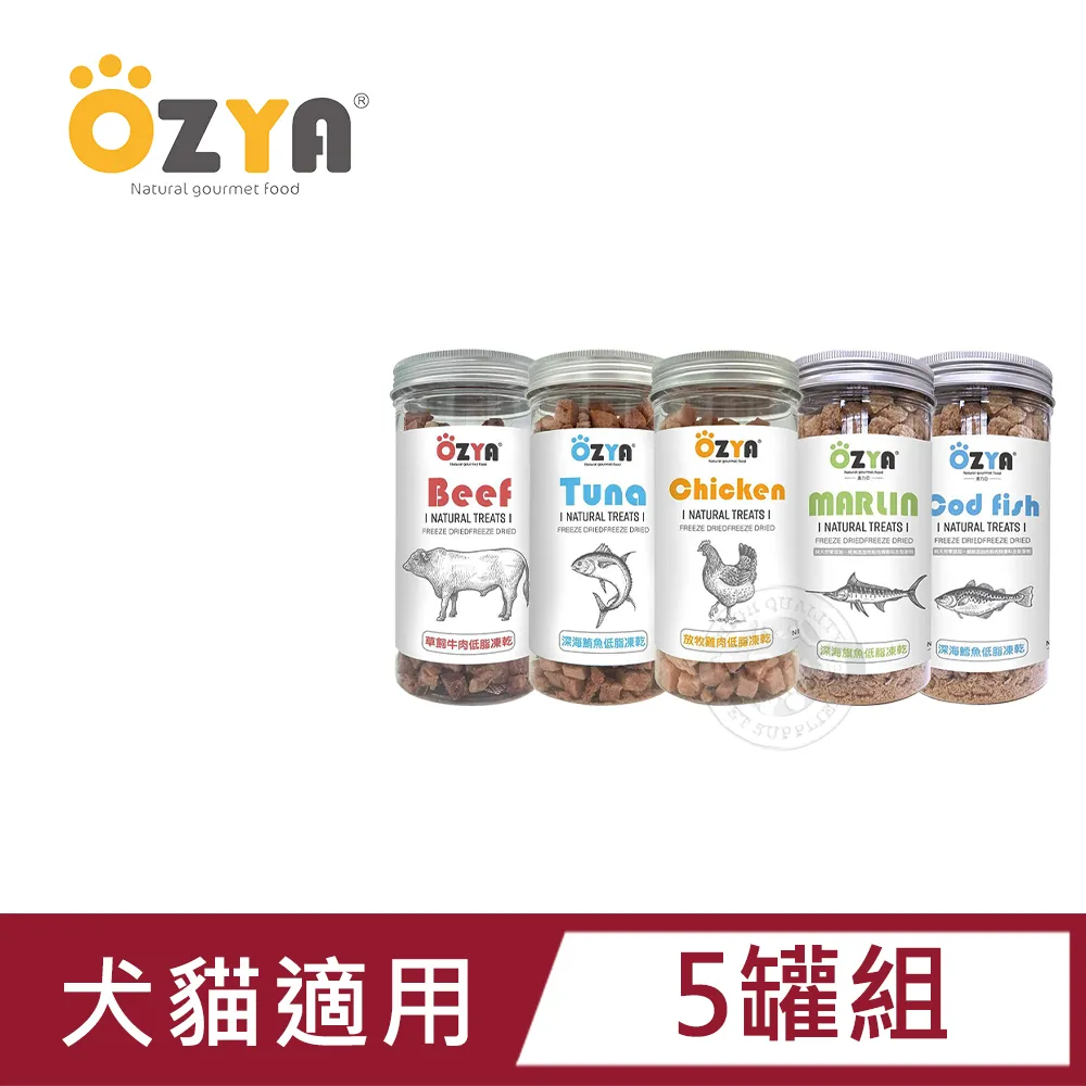 純原亞瑟男女士跑步鞋Kahana8運動越野鞋緩震透氣耐磨防滑馬拉松 歷史價格詳細信息