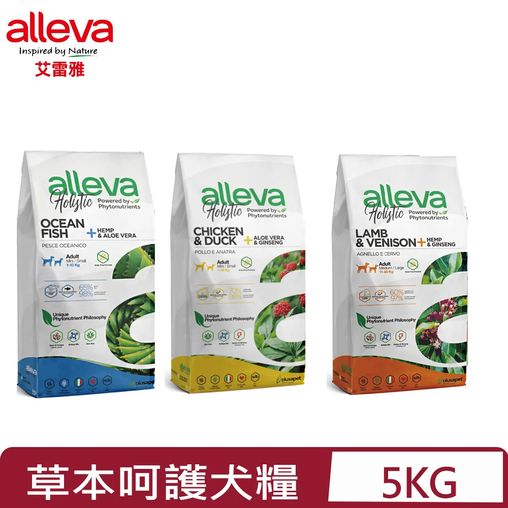 草帽中小型泰迪裝飾貓狗卡通寵物蜜蜂夏天新款網紅幼犬太陽帽帽子 G2XD 歷史價格詳細信息