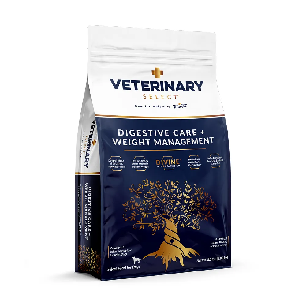 【成功】體適能扶手彈跳床-S5196 38吋【丹爸】台灣製 蹦床 室內 室外 運動蹦蹦床 家用 帶扶手 [免運] 歷史價格詳細信息