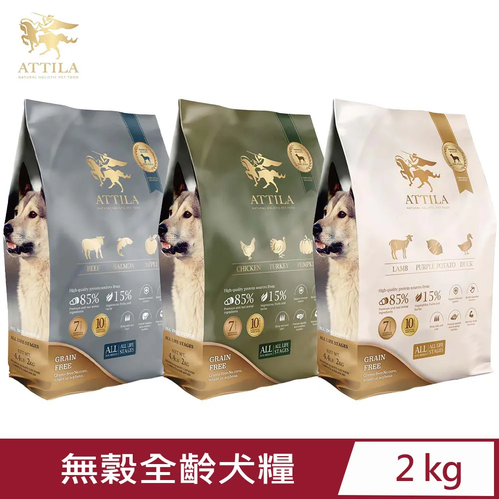 阿提拉 全面戰爭 中文版 PC電腦單機游戲光盤 光碟 策略 歷史價格詳細信息