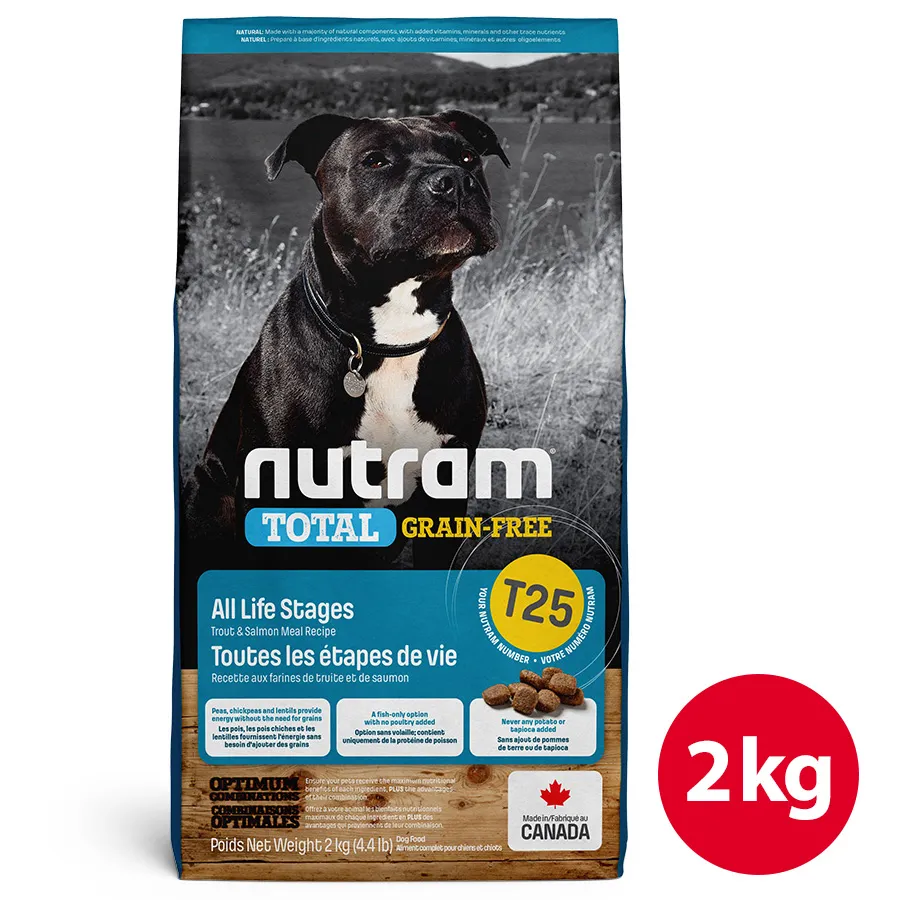 #T25-2【小圻的椅子】俏秘書美甲椅.美睫椅.化妝椅.電腦椅.辦公椅,高背大椅面,好坐又舒適! 歷史價格詳細信息