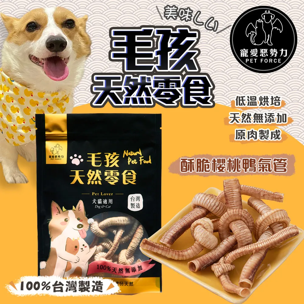 管教惡貓 傑克森的貓宅大改造【暢銷新版】：解決喵星人不法行為的33個驚人創意 歷史價格詳細信息