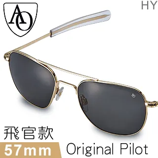 AO Eyewear 初版飛官款太陽眼鏡 (銀色玻璃鏡面/亮銀色鏡框55mm) 歷史價格詳細信息