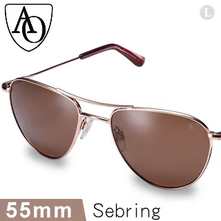 AO Eyewear Sebring系列太陽眼鏡 (漸變綠色尼龍鏡片/金鏡框55mm) 歷史價格詳細信息