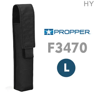 Flashlight【禮筑外文書店】(精裝)[79折] 歷史價格詳細信息