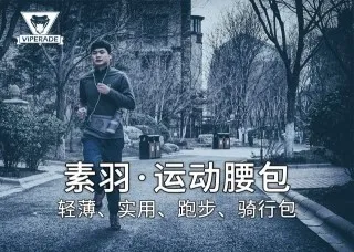 VIPERADE蝰蛇VE3隨身卡包錢包多用途EDC工具收納包迷妳便攜日常包 歷史價格詳細信息