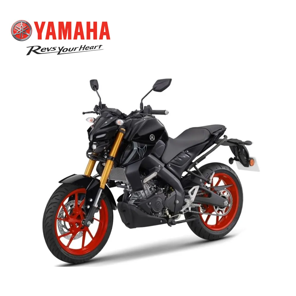 YAMAHA MT-15 2018 2019 不鏽鋼水箱護網-極限超快感 歷史價格詳細信息
