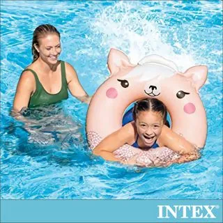 INTEX 動物造型不倒翁(適用年齡：3歲以上)1PC個 x 1 【家樂福】 歷史價格詳細信息