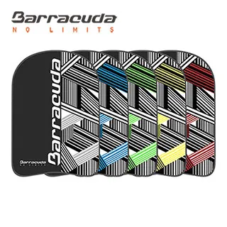 巴洛酷達 游泳訓練浮板 Barracuda AQUAPOP SPIRAL 歷史價格詳細信息