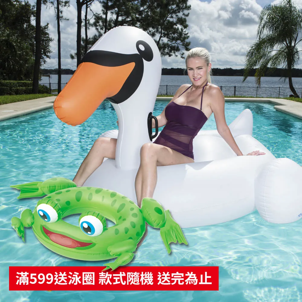 【BESTWAY】巨型天鵝成人充氣坐騎 | 游泳 成人泳圈(台灣24h出貨) 歷史價格詳細信息