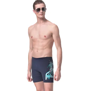 沙兒斯 五分男泳褲 B53809 歷史價格詳細信息