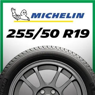 【官方直營】台灣米其林輪胎 MICHELIN LATITUDE SPORT 3 ZP 255/55 R18 4入組 歷史價格詳細信息