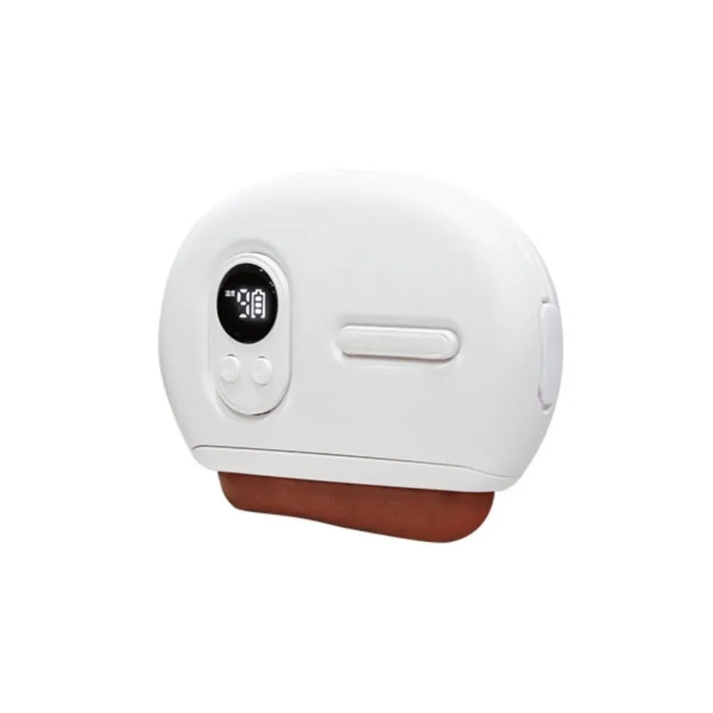 【3ZeBra】微電腦控溫SPA泡腳機 早安健康嚴選 歷史價格詳細信息