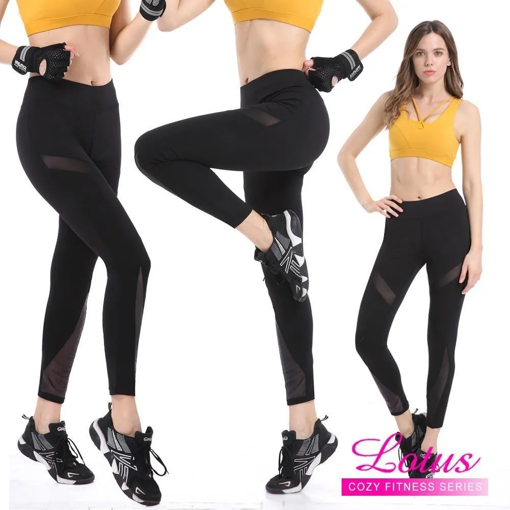 運動心臟病學-從篩查診斷到臨床管理 黃慧玲 9787523601778 【台灣高等教育出版社】 歷史價格詳細信息