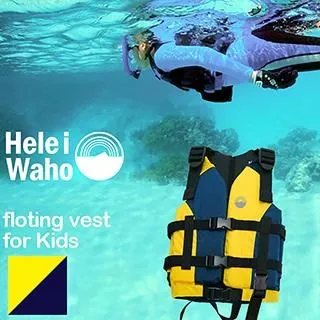 【HeleiWaho】浮力衣 浮力背心(浮力助具 安全背心 水上活動 立式划槳 SUP 浮潛) 歷史價格詳細信息