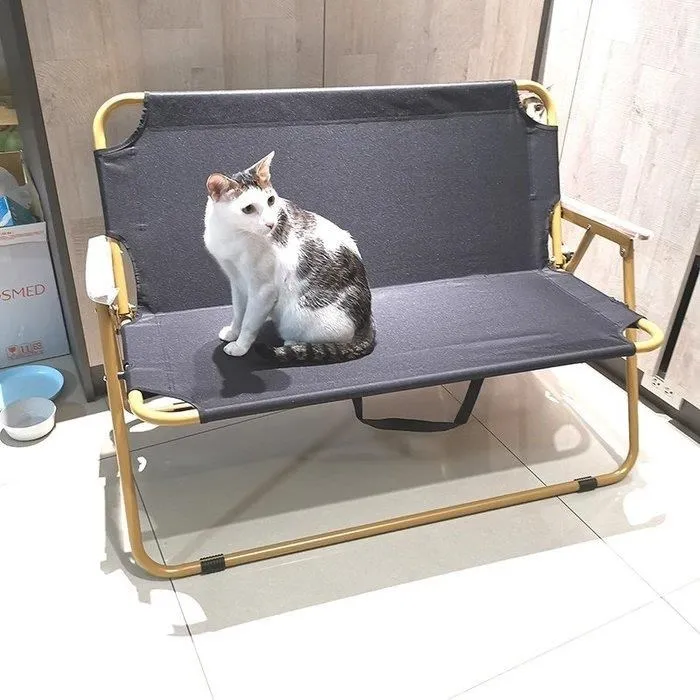 AX085 九十七年 97年 鼠年紀念生肖套幣 附說明書~附收據 如圖 歷史價格詳細信息