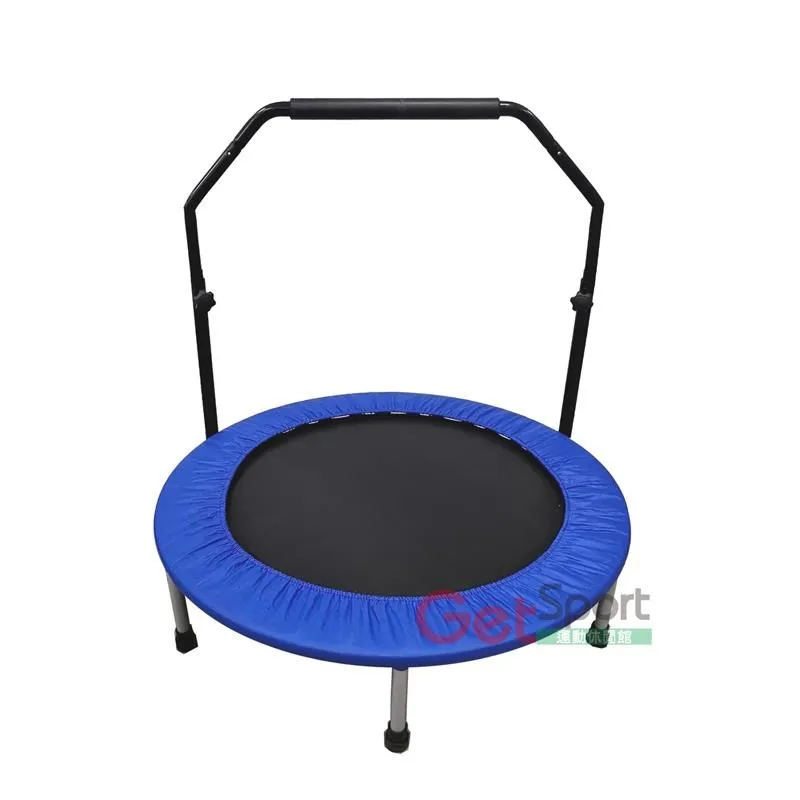 成功牌扶手型臀腿踏步機(踩踏車/翹臀/健走機/計步器/健走/台灣製) 歷史價格詳細信息