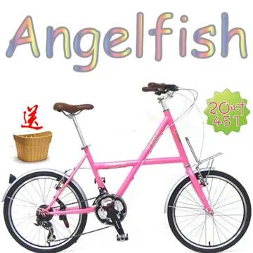 【AiBIKE】已通過EN14764測試 24吋 6速 樂活親子車 歷史價格詳細信息