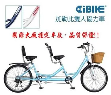 【AiBIKE】24吋樂活雙人協力車-6速 不同步(501G) 歷史價格詳細信息