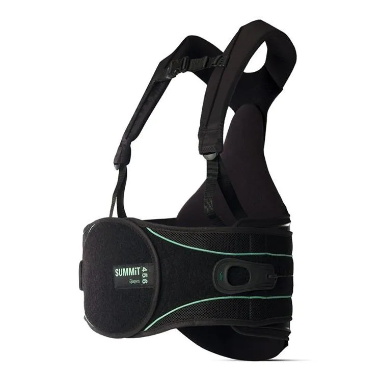 美國Aspen OTS Lumbar 648 高背架 醫療背架 護腰 醫療輔具 下背用 歷史價格詳細信息