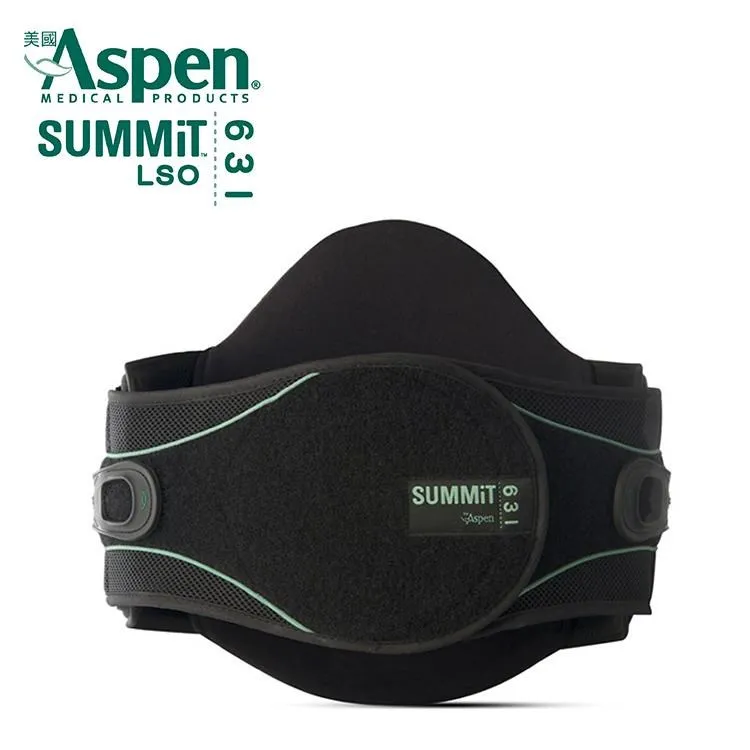 美國Aspen SUMMIT 456 TLSO 強力矯型高背架 醫療背架 護腰 醫療輔具 高背用 歷史價格詳細信息