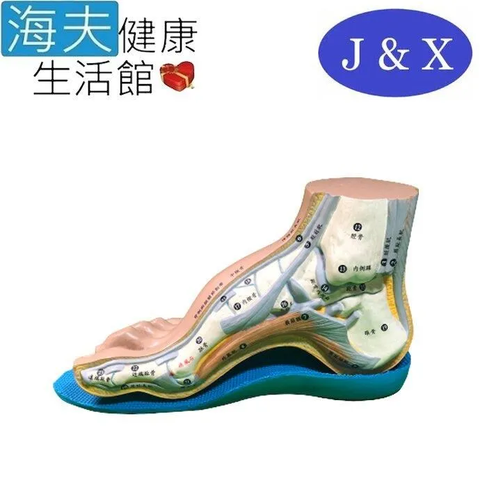 佳新 肢體裝具 (未滅菌)【海夫健康】佳新醫療 後置型踝足托 XL號(JXAS-004) 歷史價格詳細信息