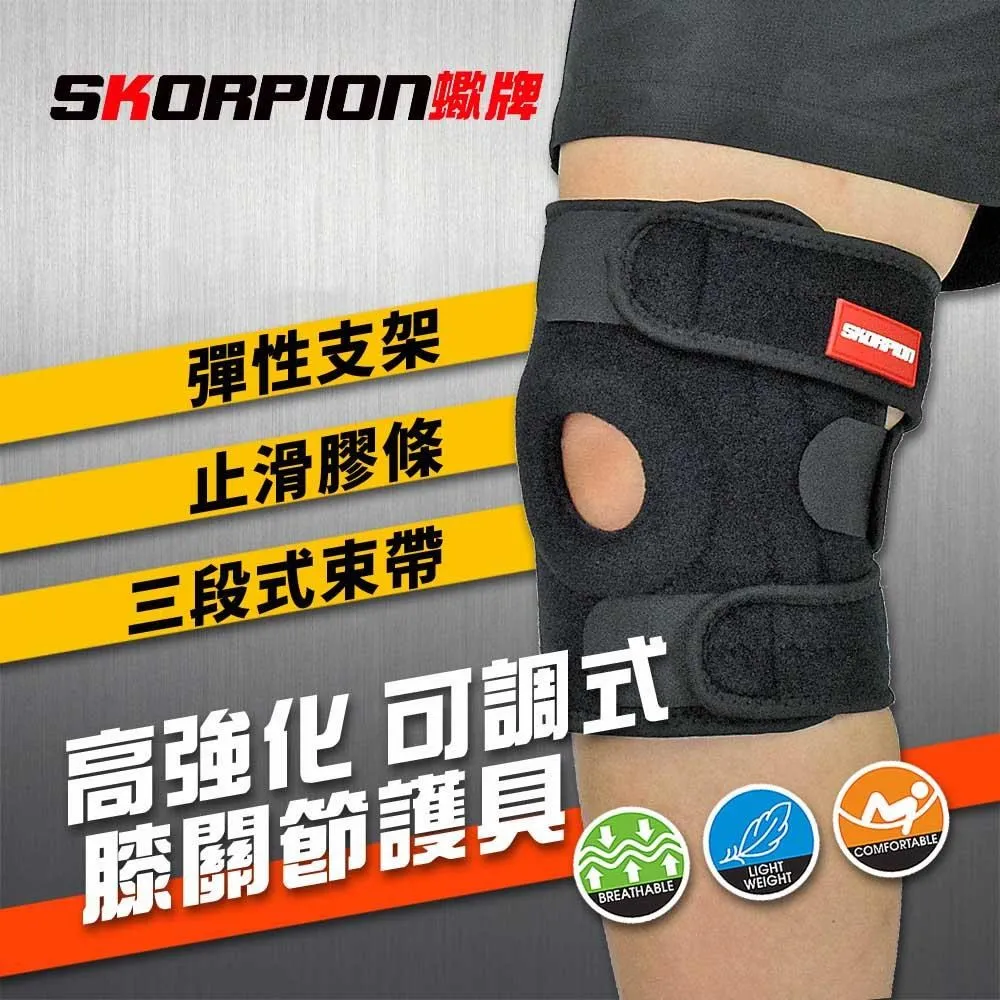 【SKORPION蠍牌】高透氣 可調式 腰部護具 歷史價格詳細信息