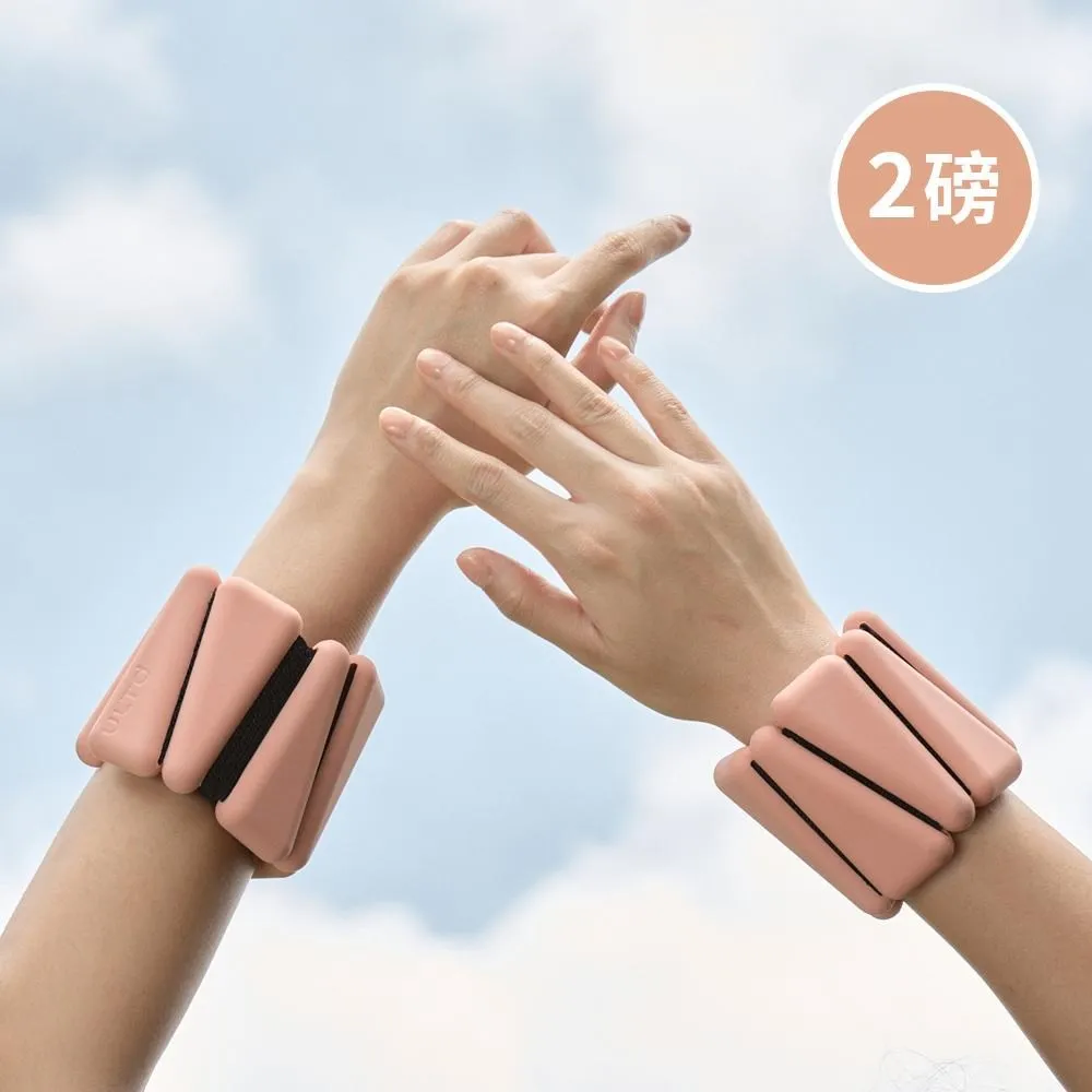 2磅負重健q身手套男女跑步瑜伽跳舞健身成人加重手套 歷史價格詳細信息