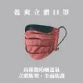 【威飛客WELL FIT】乾爽立體口罩 - 2款   涼感透氣  防風防塵 戴口罩眼鏡不起霧 歷史價格詳細信息