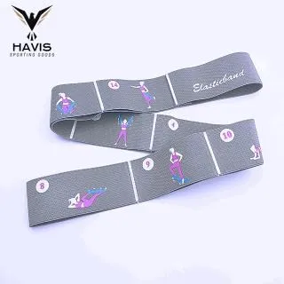 【HAVIS】★限量組合價★HA280輕量羽毛球拍+12入高級練習羽毛球組 歷史價格詳細信息
