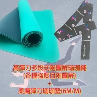 【HAVIS】★限量組合價★HA280輕量羽毛球拍+12入高級練習羽毛球組 歷史價格詳細信息