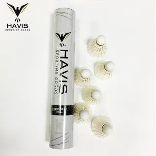 學習羽毛球教學U盤視頻教程新手入門零基礎動作技巧指導訓練課程 歷史價格詳細信息