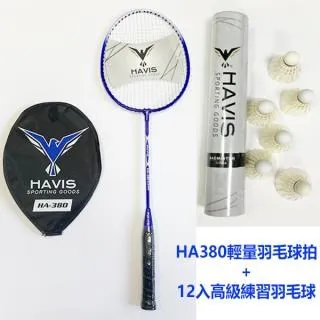 羽毛球拍輕量級 2 人羽毛球拍成人兒童 2pcs 歷史價格詳細信息