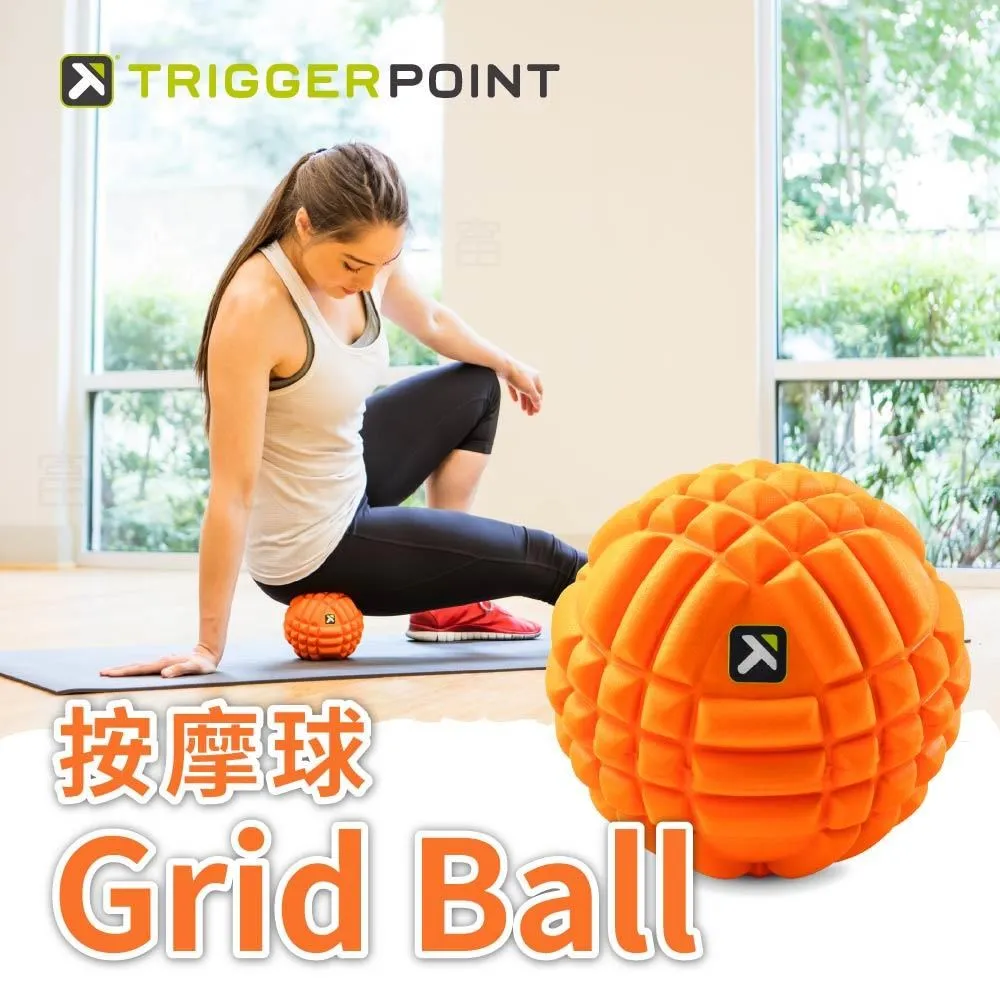 【TRIGGER POINT】公司貨 The Grid X 健康按摩滾筒 / 瑜珈滾筒 - 硬度強化版 (33cm) 歷史價格詳細信息