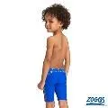ZOGGS 幼童《聰明魚》及膝泳褲 價格比較,價格查詢,歷史價格詳細信息