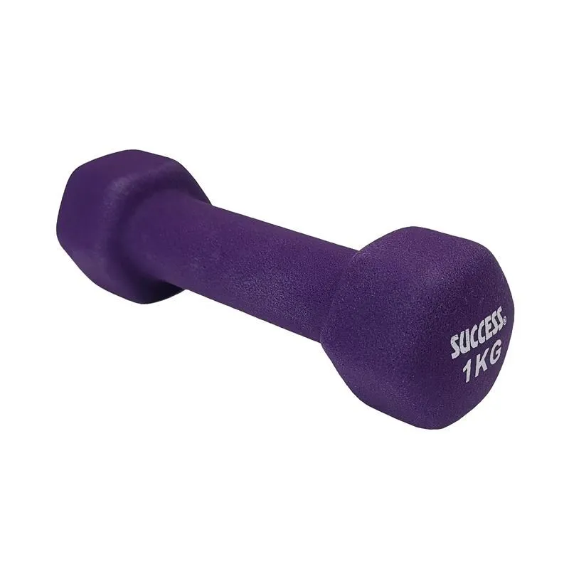 成功牌1X1.5磁白板(小)(30x45cm/可吸磁鐵/辦公事務文具/會議室/SUCCESS) 歷史價格詳細信息