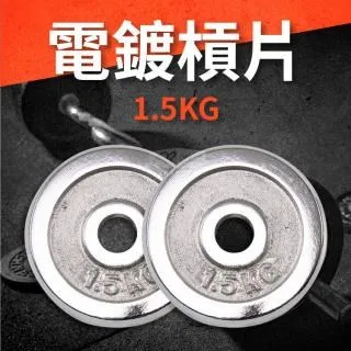 §電鍍槓片§ 10KG(2入=20KG)/重量片/啞鈴片/槓鈴片/重量訓練 歷史價格詳細信息
