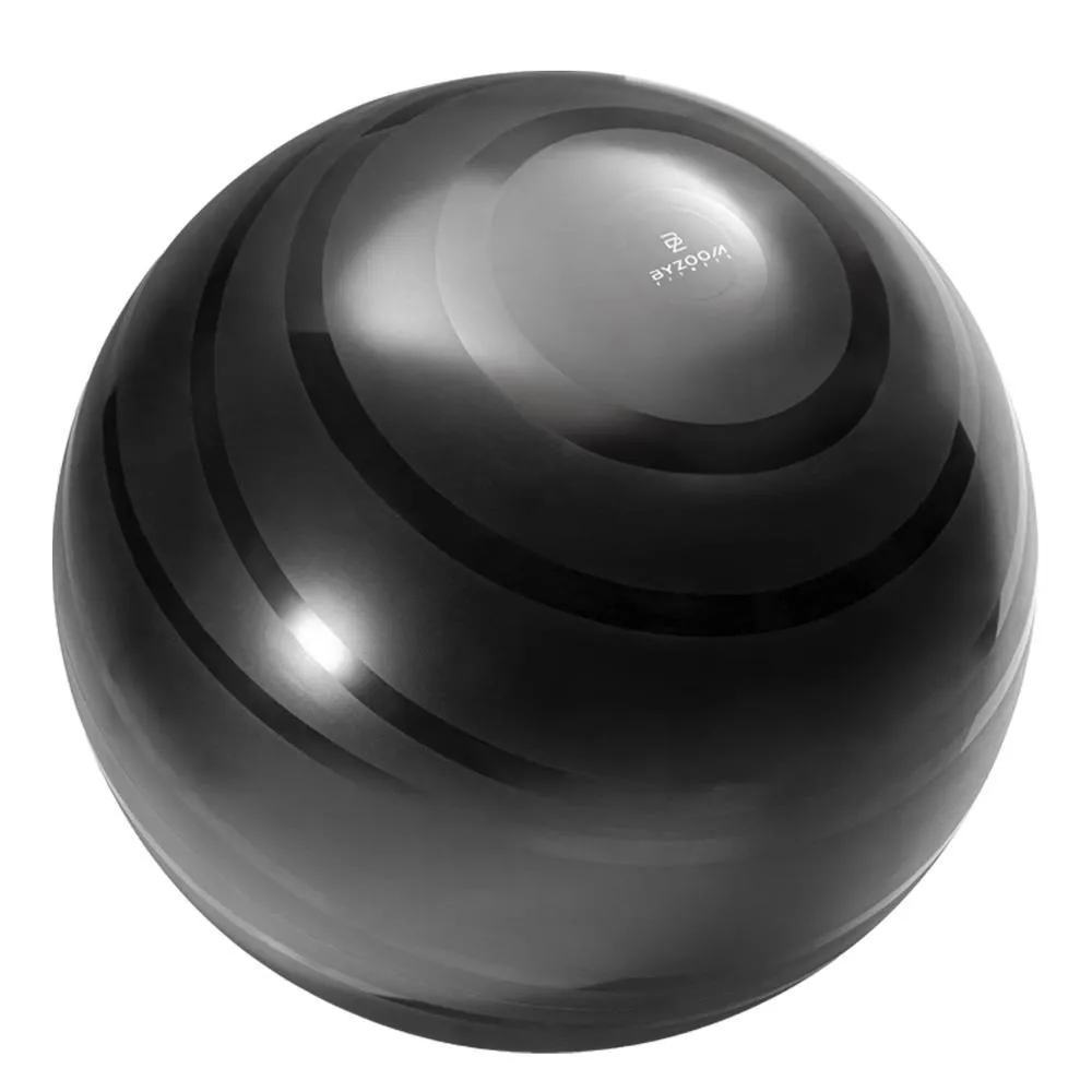 Byzoom Fitness 黑色條紋瑜珈球 65cm 價格比較,價格查詢,歷史價格詳細信息
