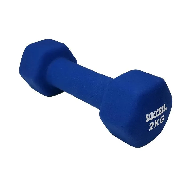 成功牌2X3月份行事曆(直寫大)(行程規劃/辦公事務文具/會議室/台灣製) 歷史價格詳細信息