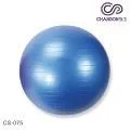 (強生CHANSON) CS-075 瑜珈抗力球 (直徑65cm-附打氣筒) 歷史價格詳細信息