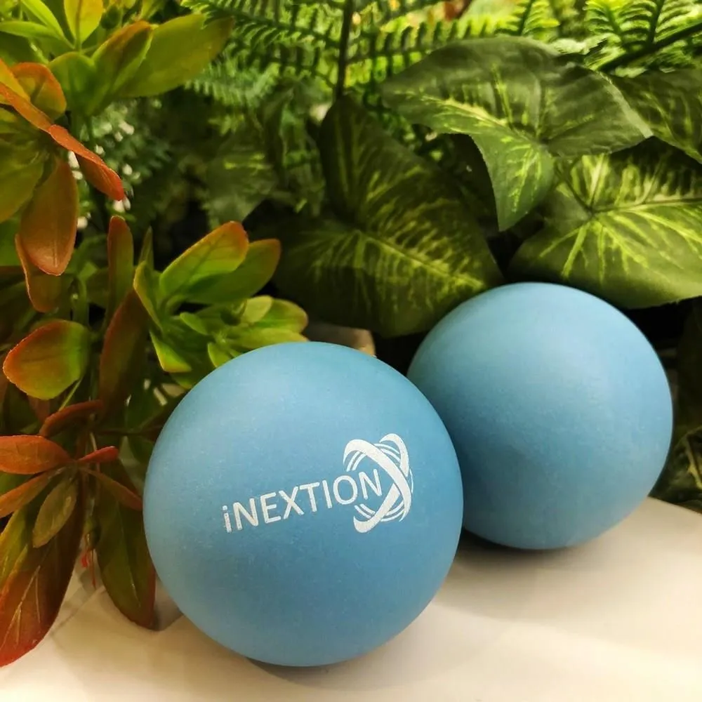 【INEXTION】Therapy Balls 筋膜按摩療癒球 2入組 - 淺藍+天灰(50D+65D 天然橡膠按摩球 台灣製) 歷史價格詳細信息
