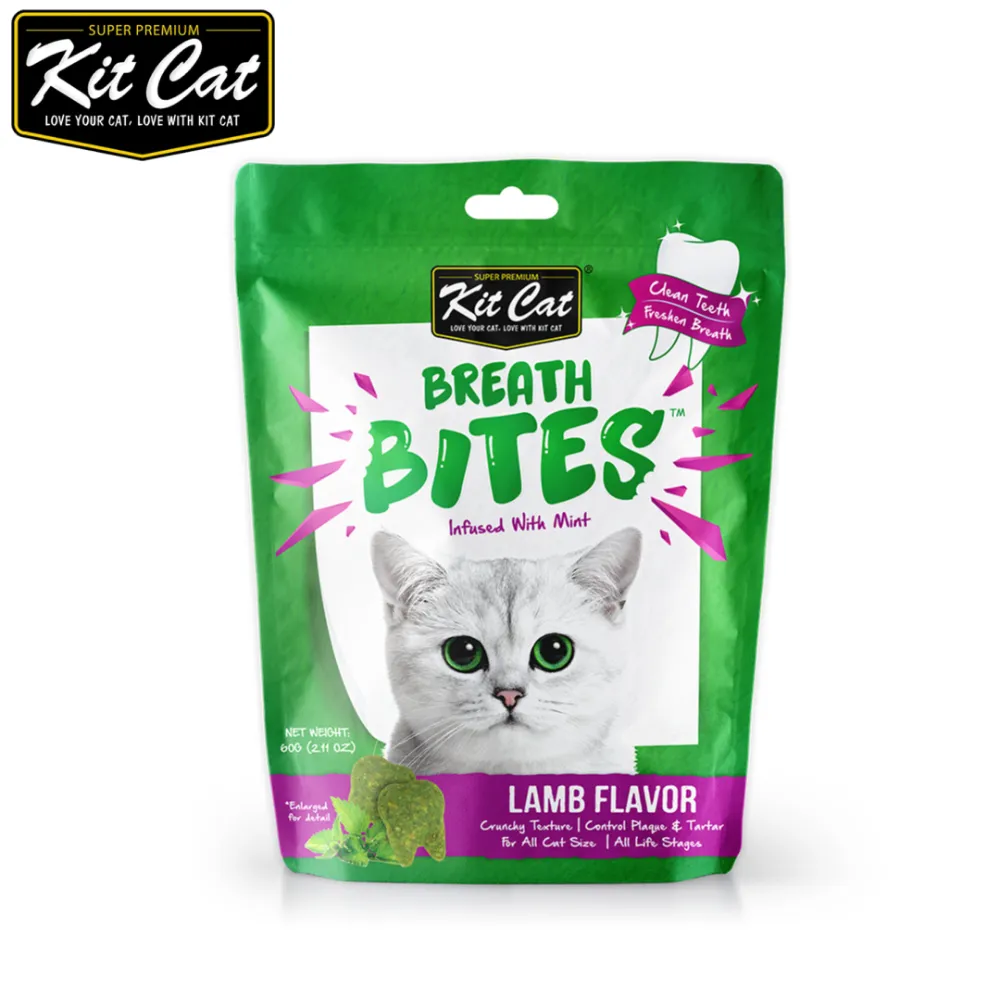 Kit-Cat Klock 美國經典貓時鐘 / 多款尺寸 / 官方週邊 海肯零七 歷史價格詳細信息