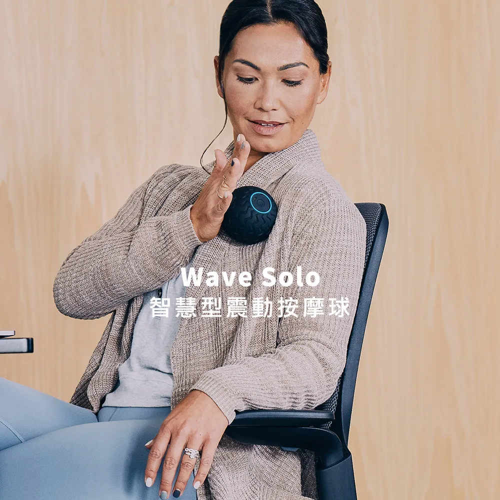 THERAGUN Sense專業級智慧衝擊式筋膜槍 歷史價格詳細信息