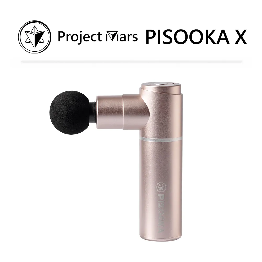 Pisooka X 肌肉放鬆迷你輕量筋膜槍-尊爵黑 歷史價格詳細信息