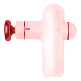 ROAR SPORTS 高硬度迷你花生球 肌肉筋膜放鬆按摩球 小號-1入 歷史價格詳細信息